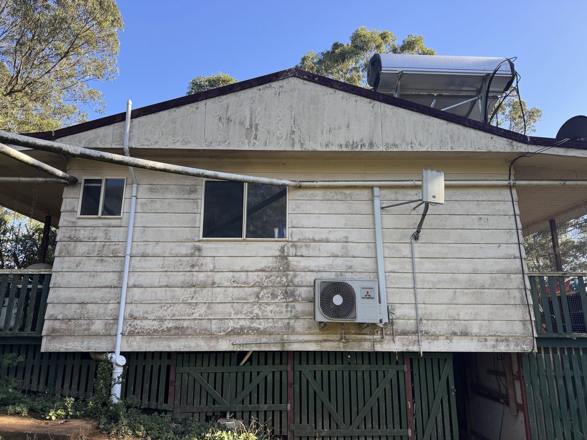 House exterior before soft wash cleaning — lichen, mould and algae visible