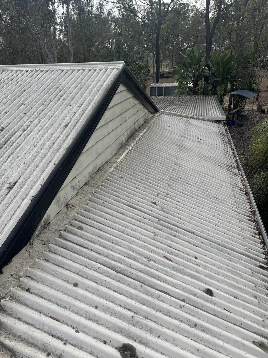 Roof before cleaning, covered in mould and lichen